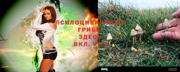 стафф Костерёво