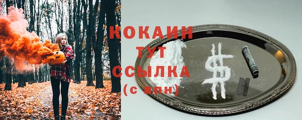 ГАЛЛЮЦИНОГЕННЫЕ ГРИБЫ Баксан