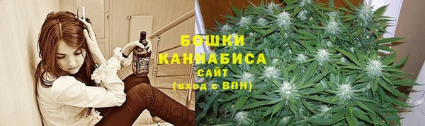 ГАЛЛЮЦИНОГЕННЫЕ ГРИБЫ Баксан