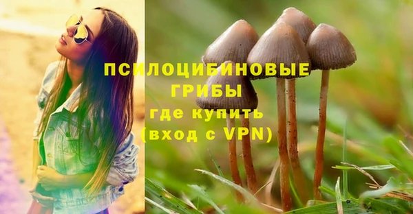 ГАЛЛЮЦИНОГЕННЫЕ ГРИБЫ Баксан