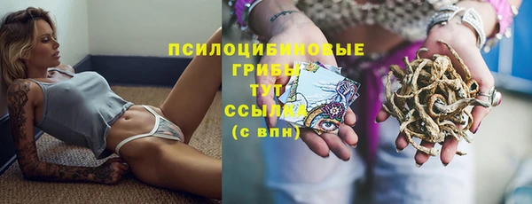 ГАЛЛЮЦИНОГЕННЫЕ ГРИБЫ Баксан
