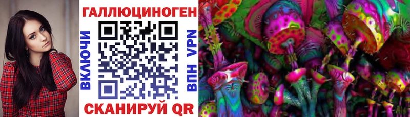 Псилоцибиновые грибы Psilocybe  Плёс 
